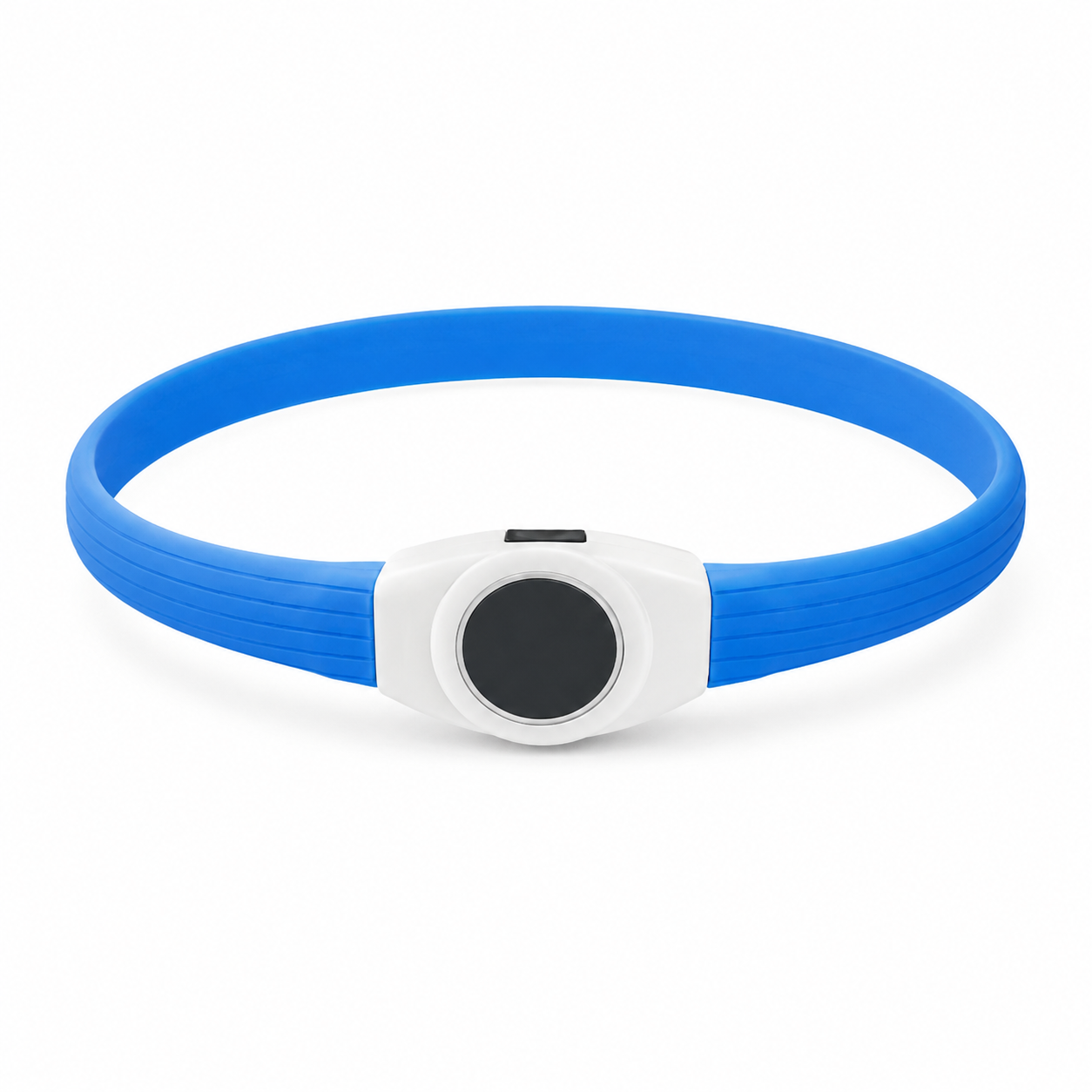 Collar de luz LED para perro