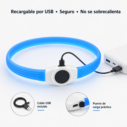 Collar de luz LED para perro