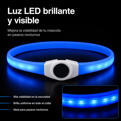 Collar de luz LED para perro